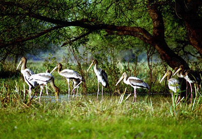 Golden Triangle Weekend Tour