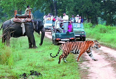 Golden Triangle Weekend Tour