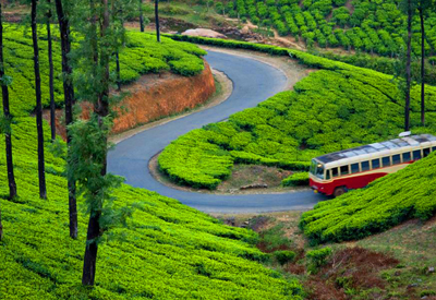 Golden Triangle Tour