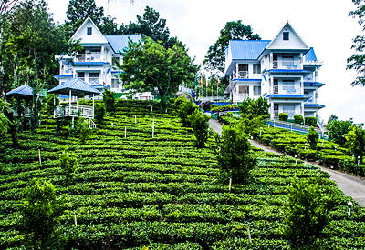 Golden Triangle Tour